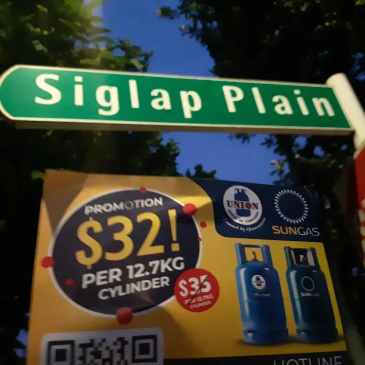 A promotional flyer photographed beside the Siglap Plain street sign.